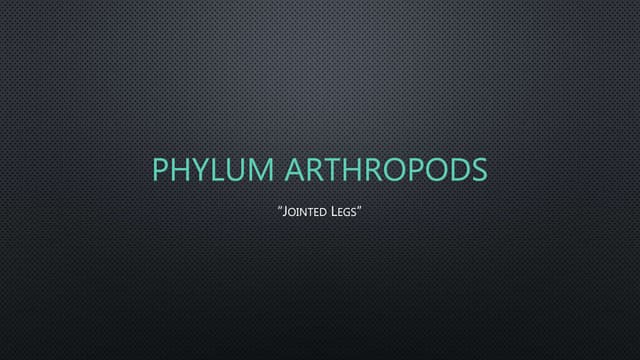 Phylum arthropoda characteristics
