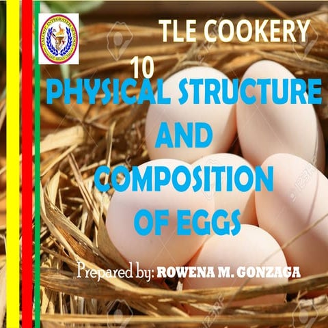 PHYSICAL STRUCTURE OF EGG TLE  1010.pptx