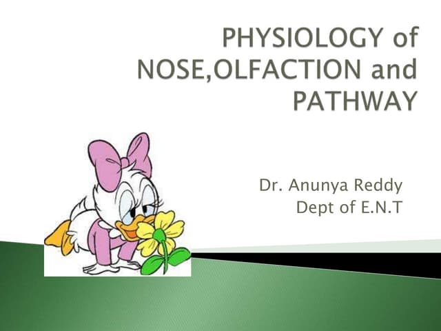 Physiology of nose, olfaction and pathway