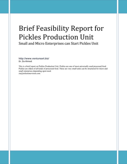 Pickles Brief Feasibility Report