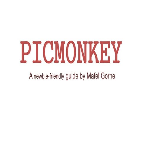 PicMonkey: The Alternative for Photoshop