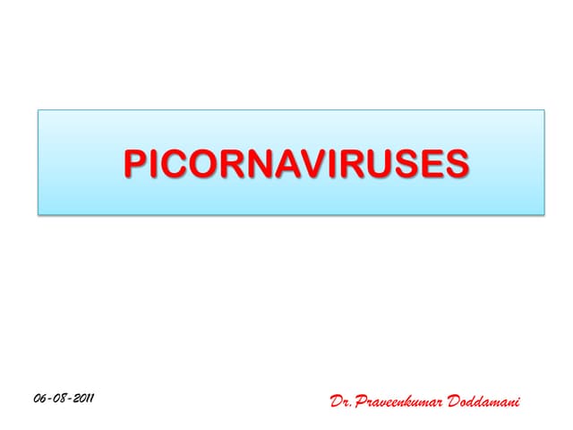 Picornaviruses 06.08.11
