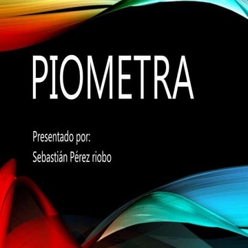 Piometra en pequeñas especies 