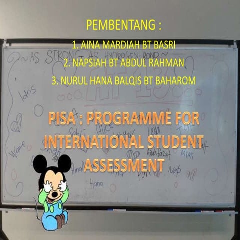 programme for international student assessment