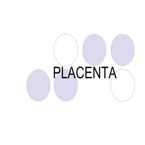 Placenta 130407115834-phpapp02