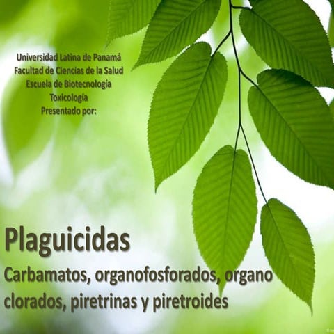Plaguicidas 