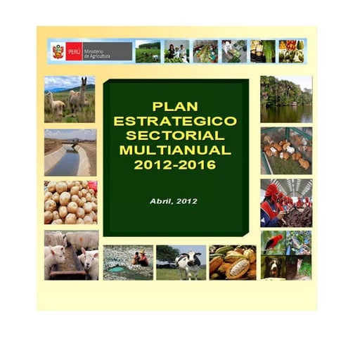 Plan 13270 2014_pesem2012-2016