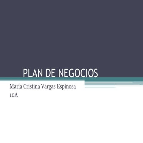 Plan de negocios