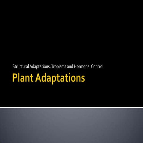 Plant adaptations (bd mod)
