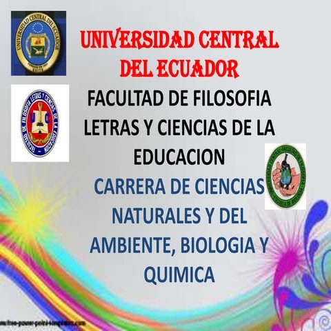 Plantas por Viviana Sánchez