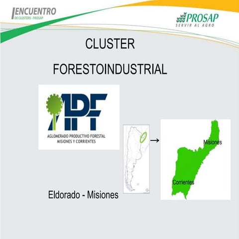 Cluster Forestoindustrial