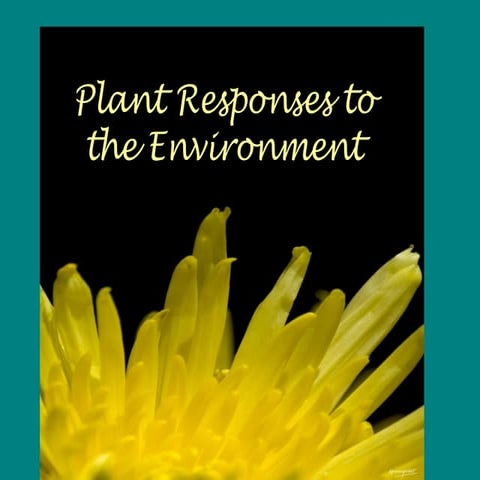 Plant responses to the environment 1