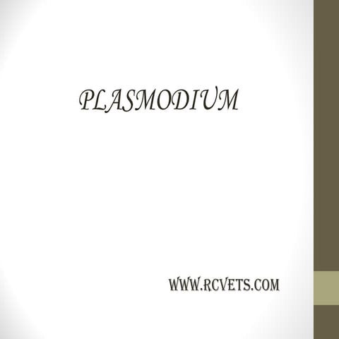 Plasmodium