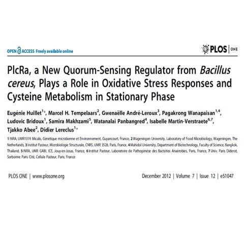 Quorum Sensing y Estrés Oxidativo en Bacillus cereus (revisión)