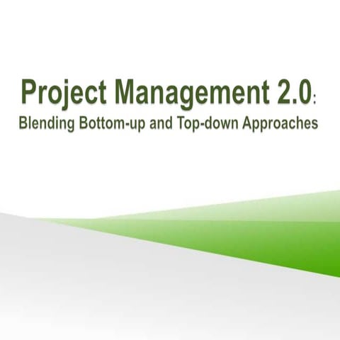 Project Management 2.0