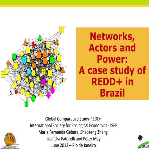 Networks, actors and power: A case study of REDD+ in Brazil 