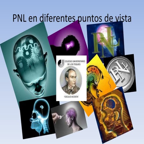 Pnl
