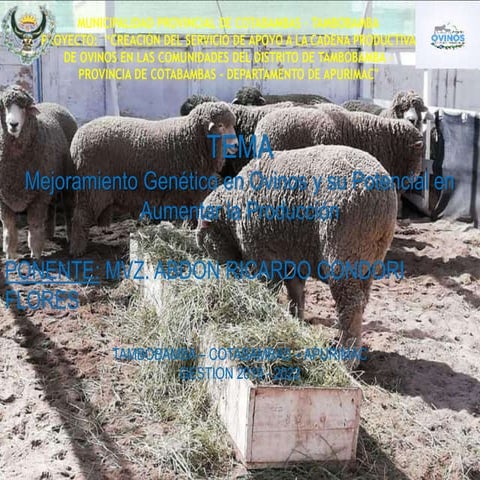 PONENCIA MEJORAMIENTO GENETICO.ppt