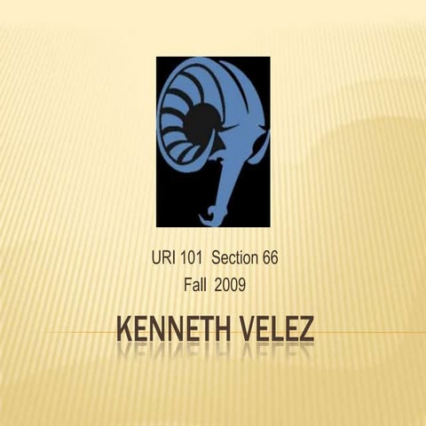 URI 101 Mentor Portfolio