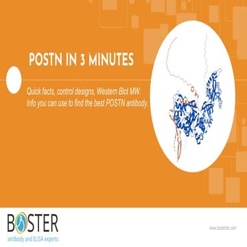 Learn POSTN in 3 minutes | Periostin, OSF2