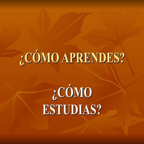 Power estilos de aprendizaje