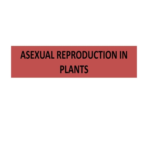 Powerpoint asexual reproduction in plants