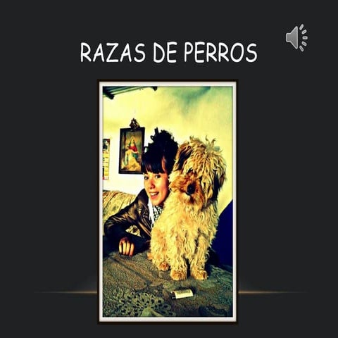 Power Point AnimalesMascota