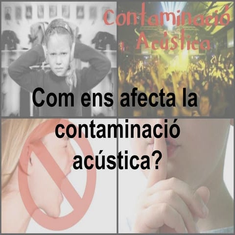 Contaminació Acústica