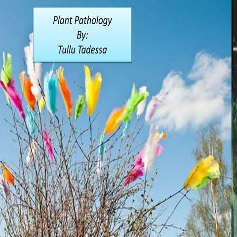 Powerpoint Presentation (FFV).pptx