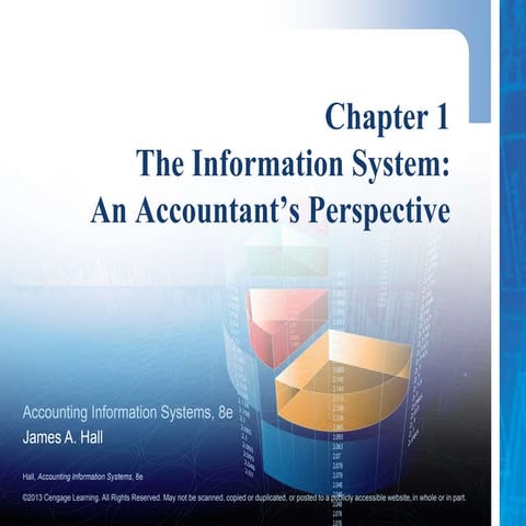 Chapter 1 - The Information System: An Accountant's Perspective