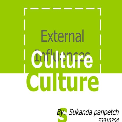 external influences in customer behavior: culture 