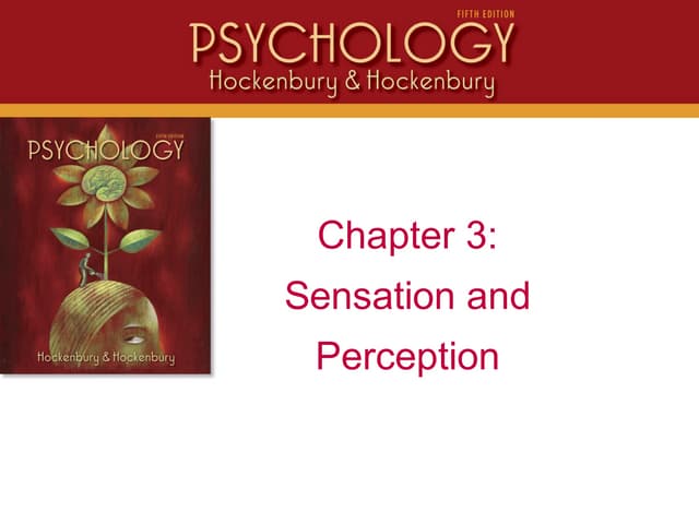 PSYC 1113 Chapter 3