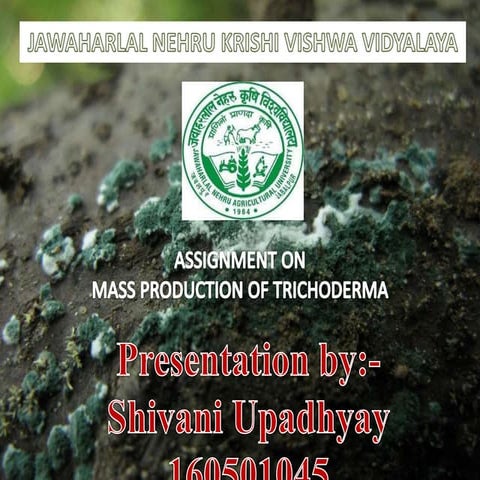 Mass Production of Trichoderma