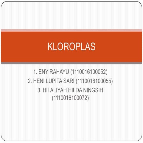 PPT KLOROPLAS