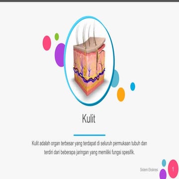 ppt Kulit