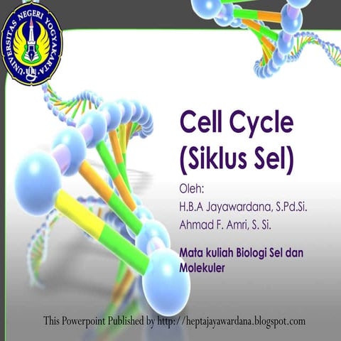 siklus sel (cell cycle)