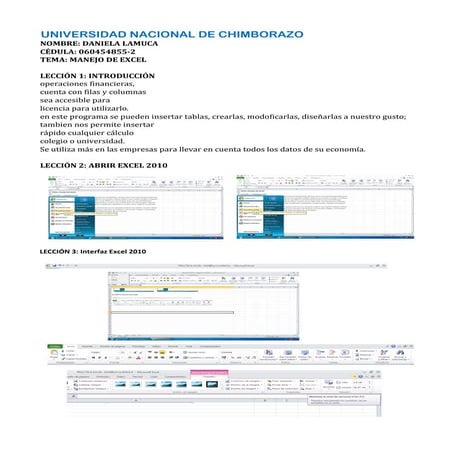 Practica excel  daniela llamuca