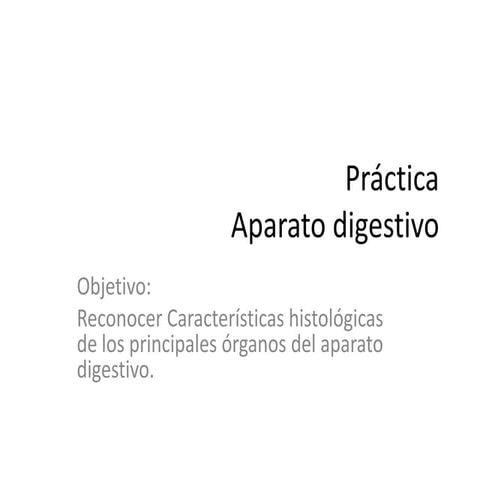 Práctica A. digestivo