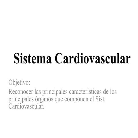 Práctica Sist. Cardiovascular