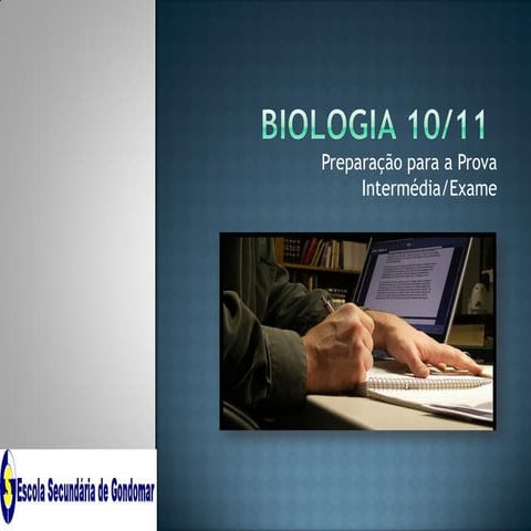 Preparação para o teste intermédio (11º)