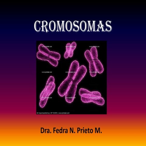 Pres cromosomas