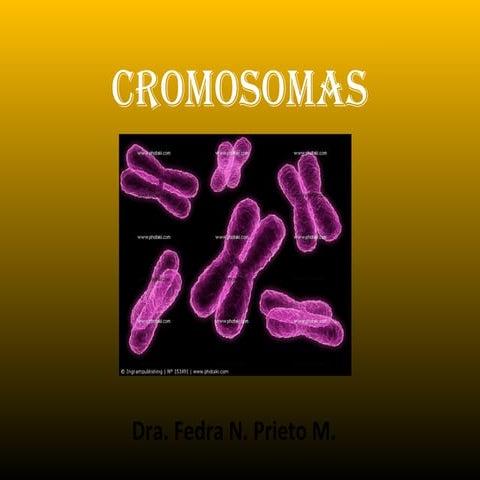 Pres cromosomas