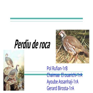 Perdiu de roca 1r eso LS Manlleu 2016