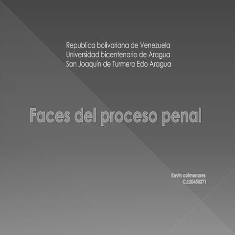 fases del proceso penal 