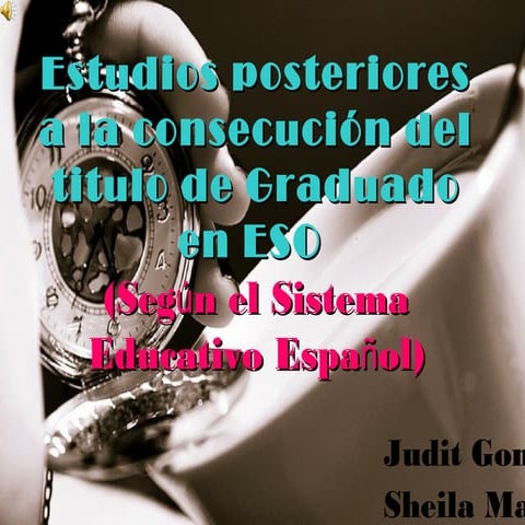 ESTUDIOS POSTERIORES A LA CONSECUCIÓN DE LA EDUCACIÓN SECUNDARIA OBLIGATORIA.