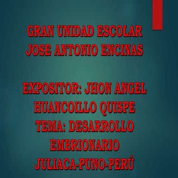 desarrollo embrionario