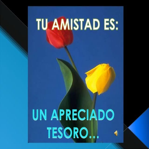 PresentacióN1 Lisseth