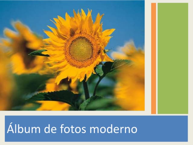 Presentación2