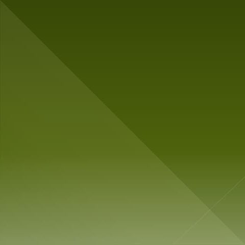 Presentación cuadrilateros