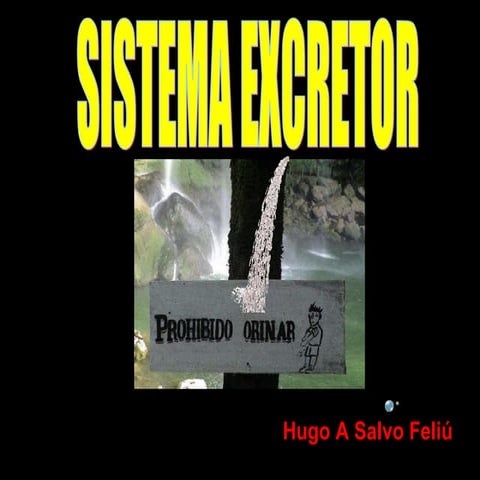 PresentacióN De RiñOn